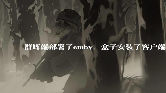 群晖端部署了emby，盒子安装了客户端播放蓝光电影为什么不能显示影片自带字幕？